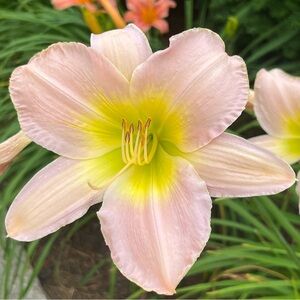 Meet your Posher, Gloria